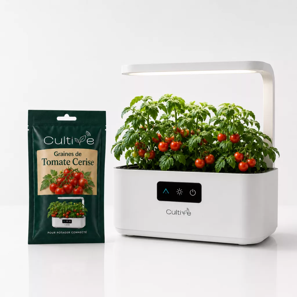 Graines de tomates Cerise et potager connecté