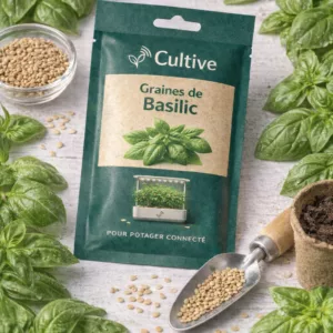 Graine de Basilic