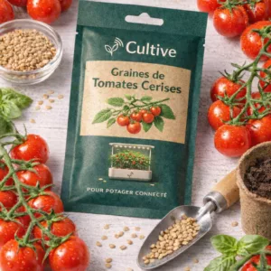 Graine tomate cerise