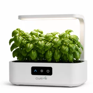 Potager connecté Cultive avec basilic