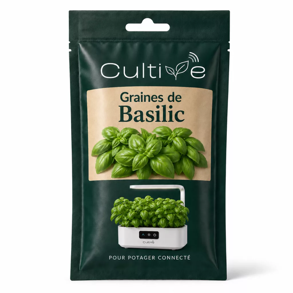 Graines Basilic
