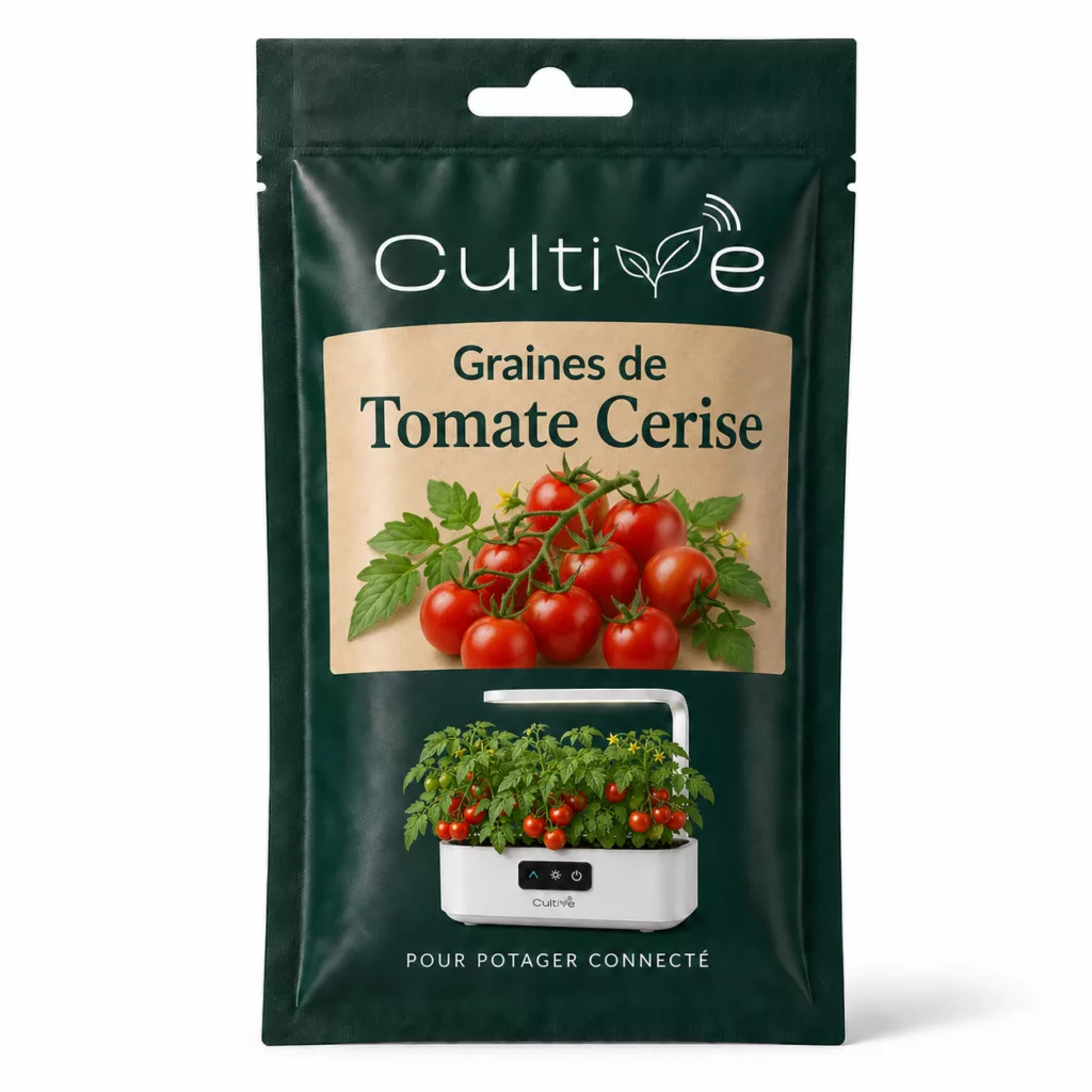 Graines tomate cerise