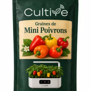 Graines de mini poivrons pour potager connecté