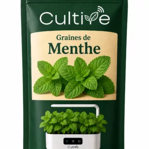 Graines de Menthes pour potager connecté